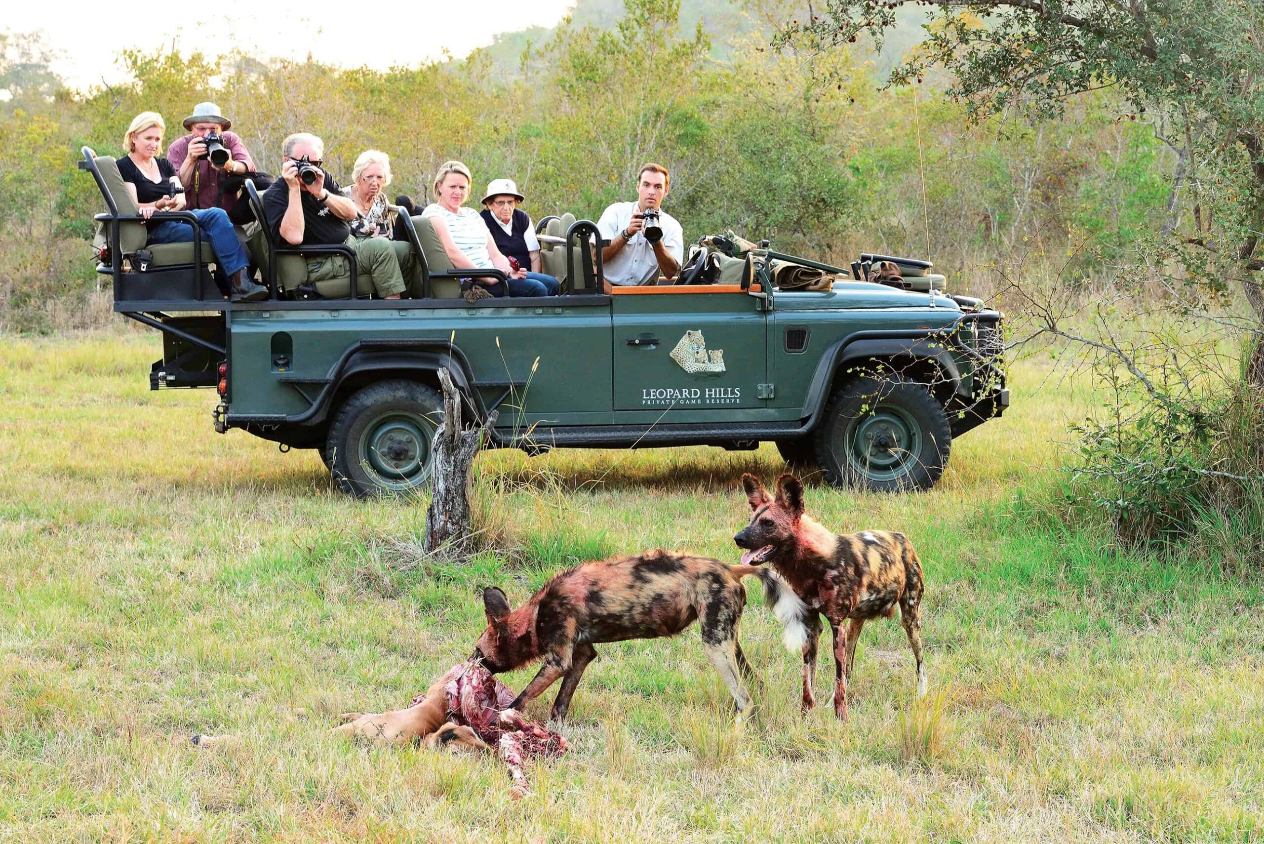 Sabi Sands game viewing